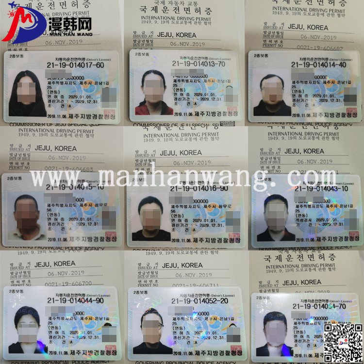 韩国英文版驾照.jpg